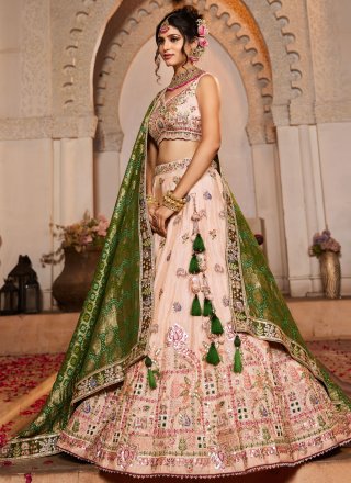 Pink Tissue Embroidered, Mirror, Sequins and Zari Work A - Line Lehenga Choli