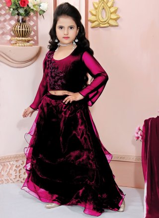 Rani and Wine Plain Work Organza Readymade Lehenga Choli