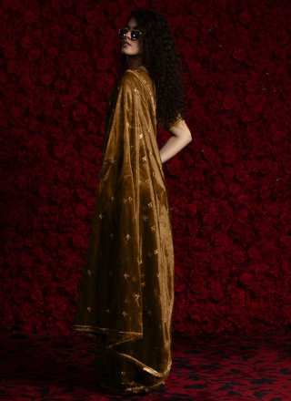 Tempting Brown Net Classic Sari
