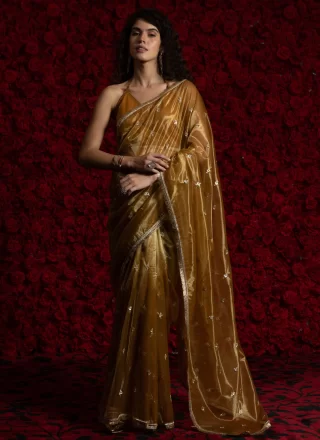 Tempting Brown Net Classic Sari