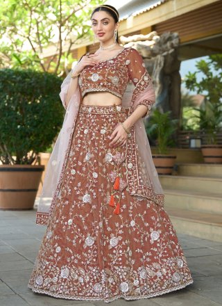 Tissue A - Line Lehenga Choli In Brown and Rust Colour