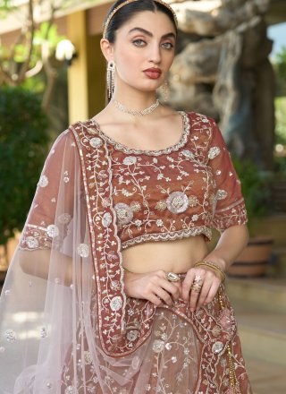 Tissue A - Line Lehenga Choli In Brown and Rust Colour